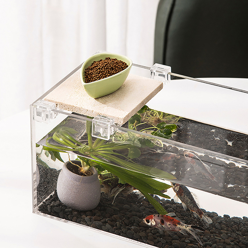 4PCS 아크릴 물고기 탱크 커버 홀더 지우기 클립 홀 - Ocean Aquarium 리뷰 및 가격