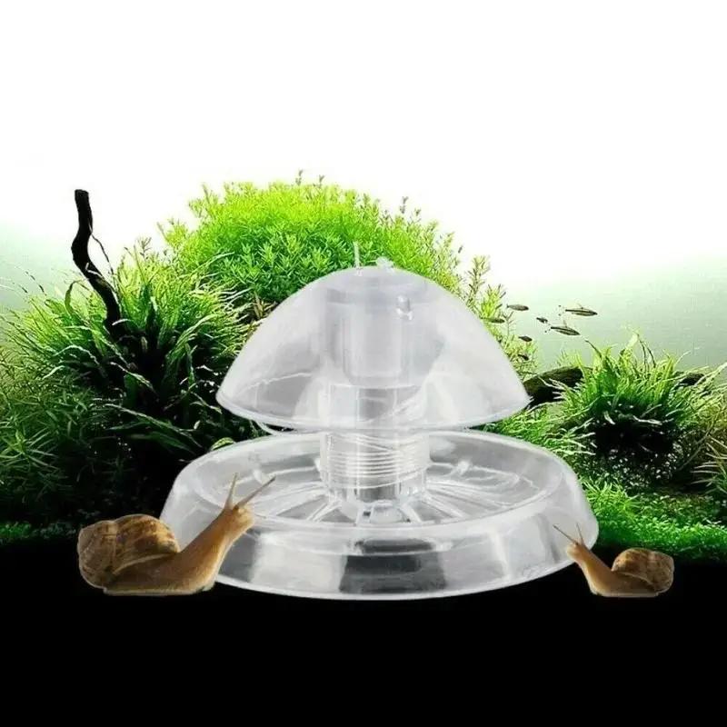 2026년형 새로운 6/8CM 투명 플라스틱 달팽이 트 - Marine Aquarium 리뷰 및 가격