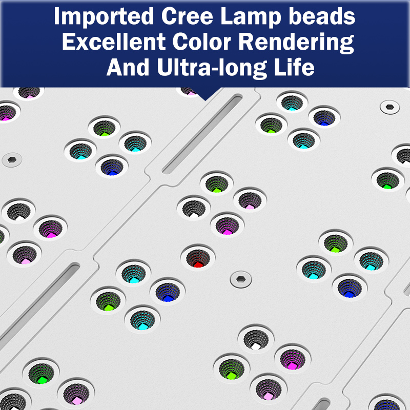 핫 KASSRAY T169/T215 CREE LED 풀 - Reef Aquarium 리뷰 및 가격