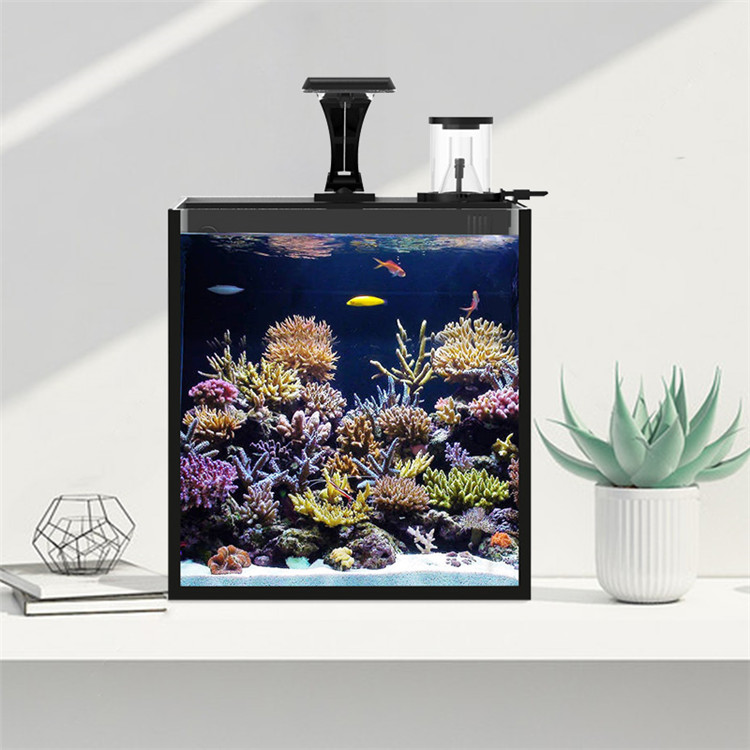 스카이누오 울트라 클리어 글래스 미니 해수어항 미디어  - Marine Aquarium Cube 리뷰 및 가격