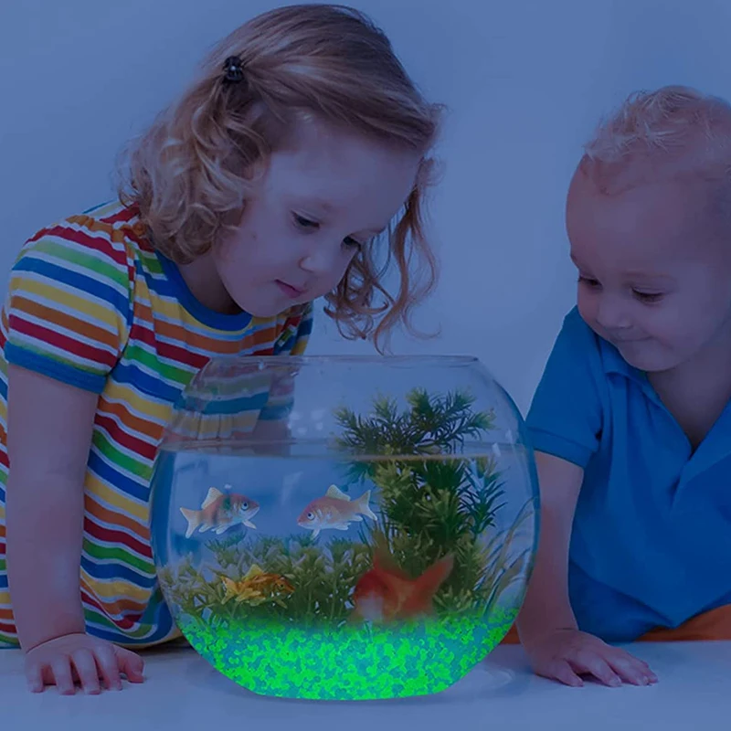 1000pcs 어두운 자갈 돌에 3-5mm 빛나는 모래 - Marine Fish Tank 리뷰 및 가격