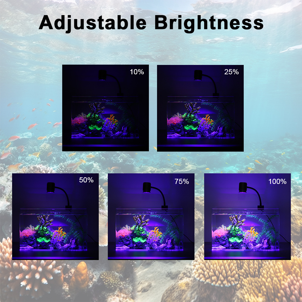 LED 수족관 조명 풀 스펙트럼 리프 코랄 램프 UV  - Reef Lighting 리뷰 및 가격